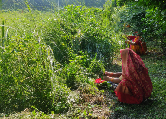 Threechhathi Festival Celebrated in Western Terai for Children’s Longevity
