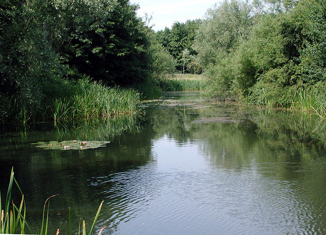 New Ponds Enhance Wildlife and Fire Control in District’s Community Forests