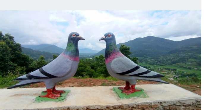 Pigeon Couple Symbol Constructed in Parewadanda to Attract Tourists to Lamjung’s Sundarbazar