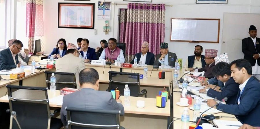 Parliamentary Committee Directs Government to Address Issues Surrounding Taragaon Development Committee
