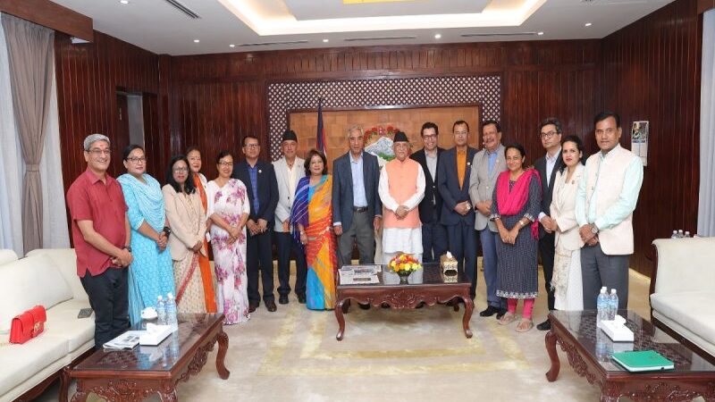 Nepali Congress Delegation Discusses Aviation Safety with Prime Minister KP Sharma Oli
