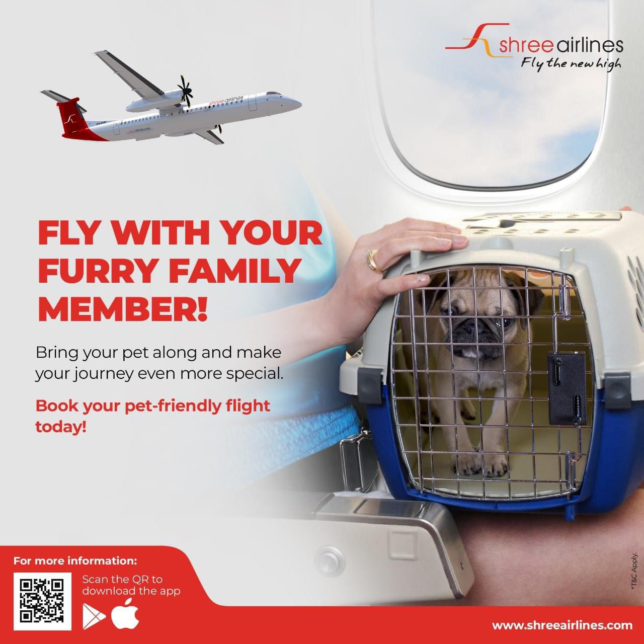 Shree Airlines Launches Pet Travel Service for Animal Lovers