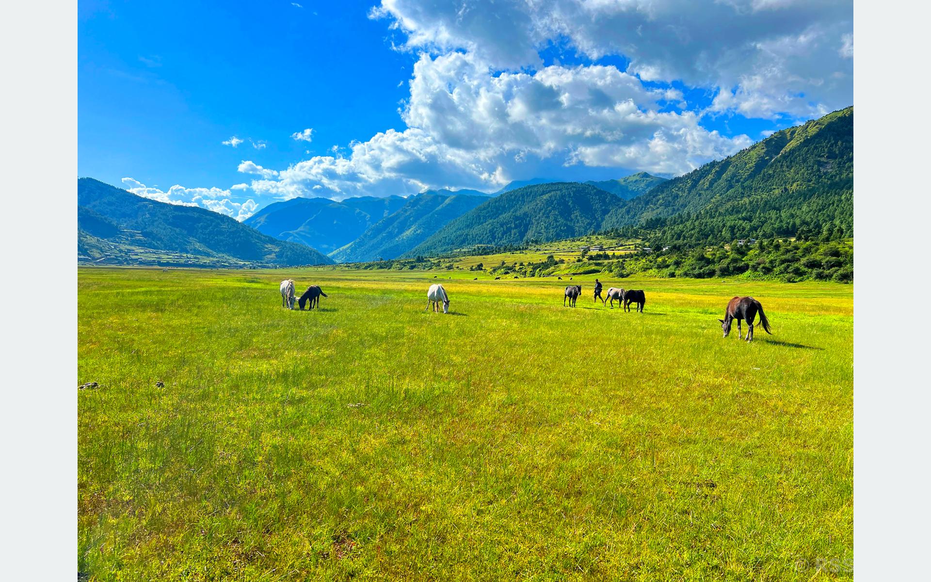 Exploring the Scenic Beauty of Dhorpatan Hunting Reserve