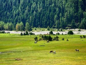 Dhorpatan: Nepal’s Only Hunting Reserve and Hidden Himalayan Wilderness