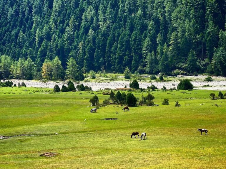 Dhorpatan: Nepal’s Only Hunting Reserve and Hidden Himalayan Wilderness