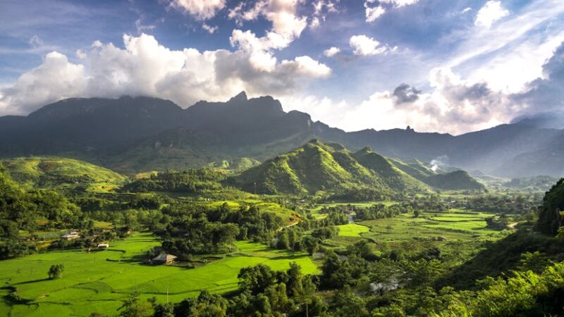 Asia and the Pacific Lead Global Tourism Recovery in 2024