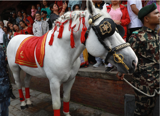 Indra Jatra Begins with Traditional Indradhwaja Raising in Kathmandu