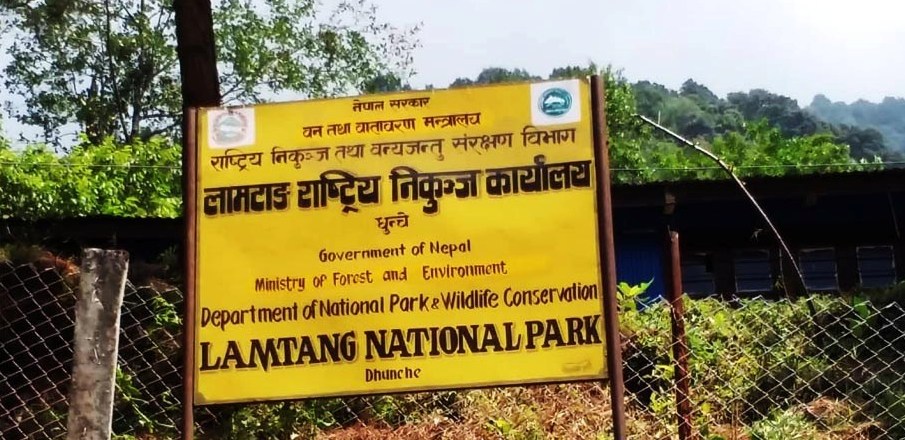 Langtang National Park Enforces Nature and Trekking Guide Requirement for Trekking Safety