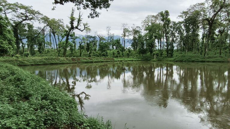 Locals in Lahan Take Initiative to Combat Climate Change Impact Through Pond Conservation