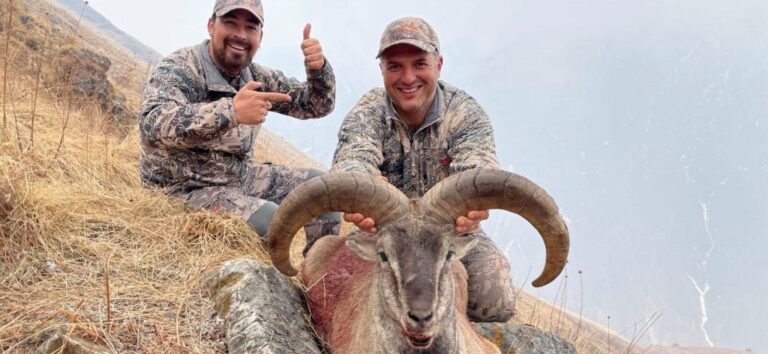 Thriving Dhorpatan Reserve Kicks Off High-Stakes Second Hunting Season
