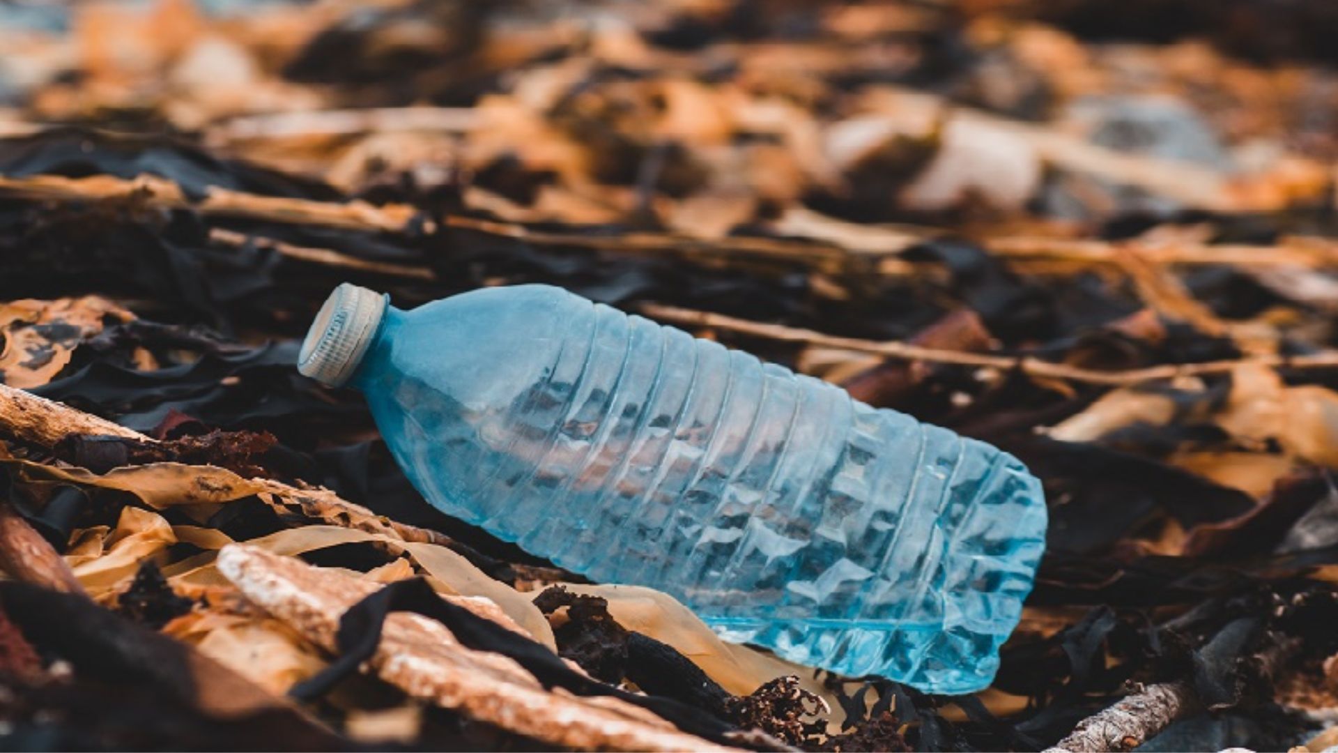 Hotels and Resorts Ordered to Eliminate Plastic Bottles for a Greener Future