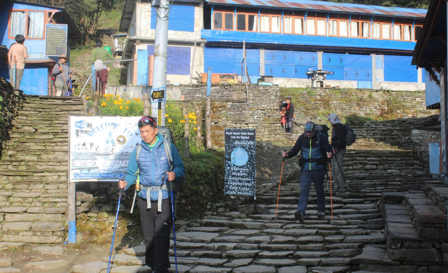 Decline in Tourist Numbers at Poon Hill-Ghorepani Compared to Last Year