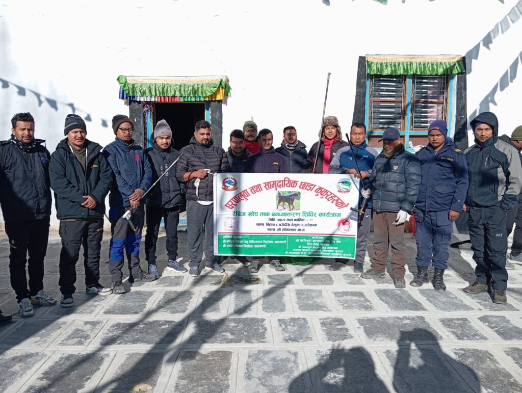 Collaborative Effort Launched to Tackle Feral Dog Threat to Livestock in Mustang