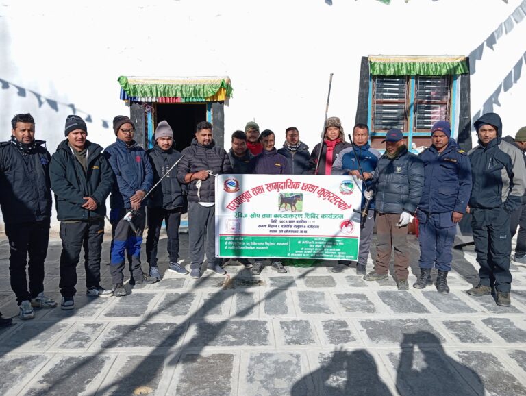 Collaborative Effort Launched to Tackle Feral Dog Threat to Livestock in Mustang