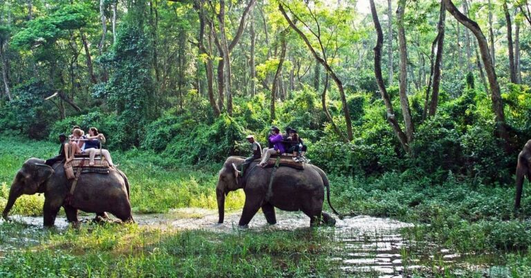 19th Chitwan Elephant and Tourism Festival Kicks Off in Sauraha