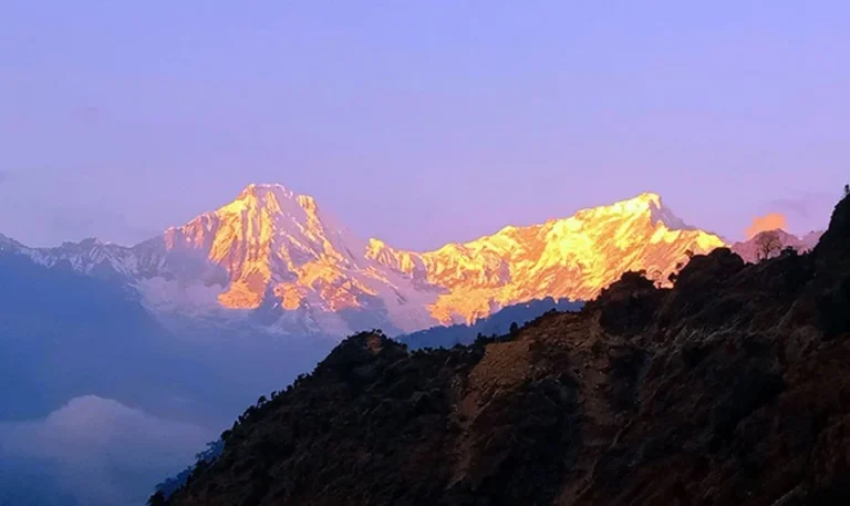 Rising Incidents of Altitude Sickness and Deaths Among Tourists in Nepal’s Himalayan Regions