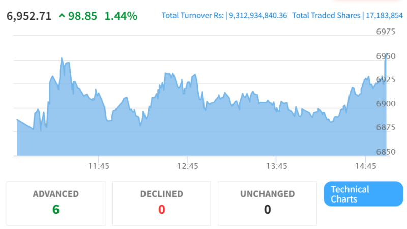 NEPSE and Hotel-Tourism Index Soar Amidst Market Rally