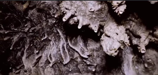 Promotion of Historic Nadayi Cave in Jumla Set to Boost Tourism