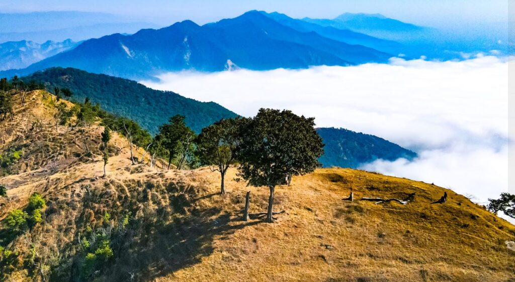 Rajkanda in Kailali: Emerging as a Popular Destination for Domestic Tourists