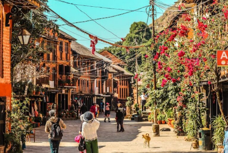 Bandipur: The Queen of Hills Declares ‘Bandipur Tourism Year 2025’