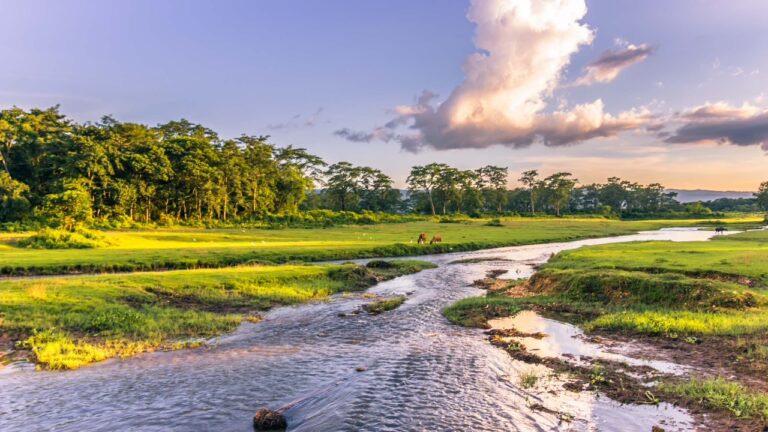 Two-Day Weekend Breathes New Life into Chitwan’s Tourism Economy