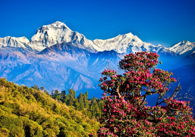 Government to Develop Cultural Tourism Based on Karnali, Gandaki, and Koshi River Civilizations
