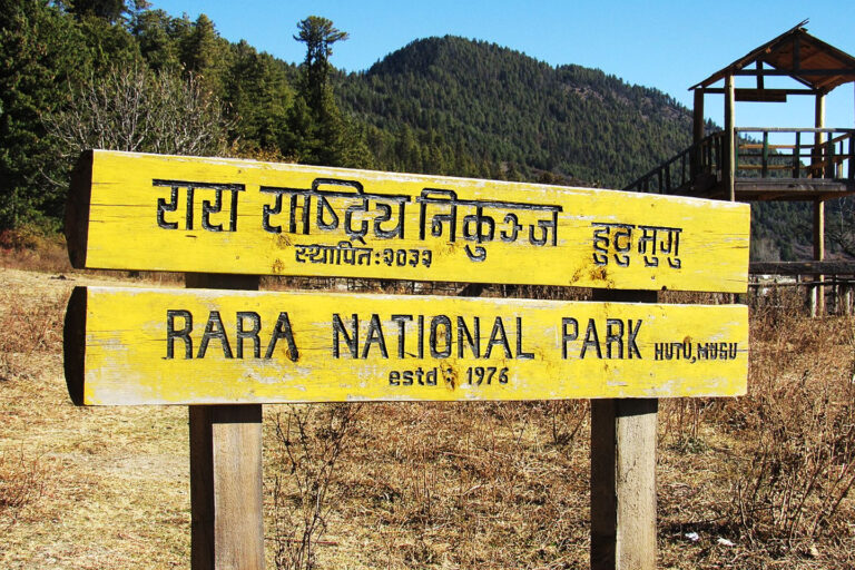 Black Panther and Leopard Spotted for the First Time in Rara National Park