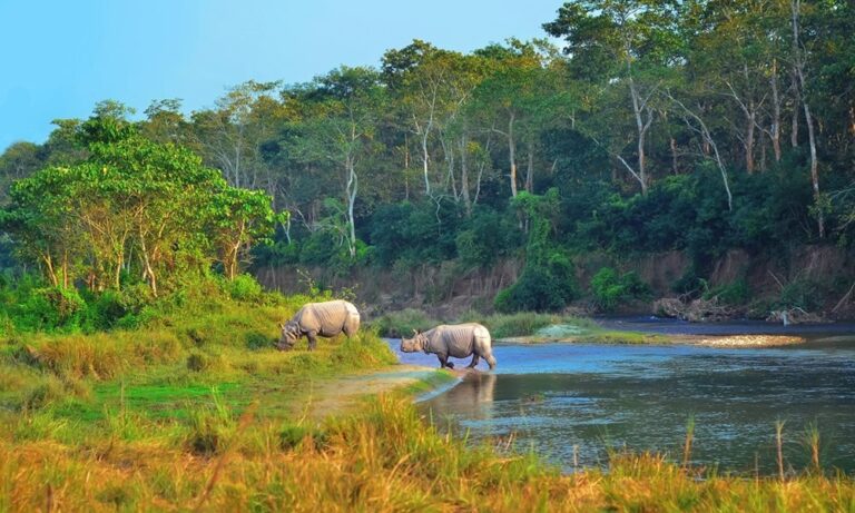Nepal Takes Bold Step: ‘Let’s Visit Sauraha’ Campaign Returns to Boost Western Nepal’s Tourism