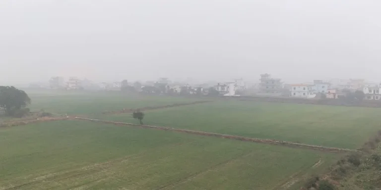 Thick Fog and Cold Wave Disrupt Flights at Gautam Buddha International Airport