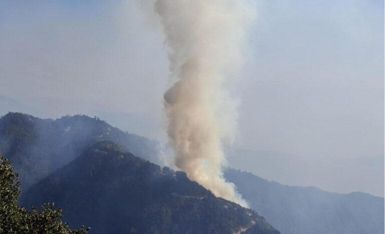 Fire in Mahabharat Jungle Controlled, Tourist Area Reopened