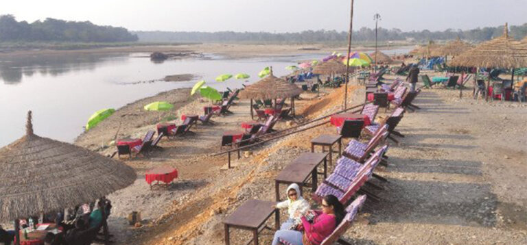 Sauraha Tourism Soars as Visitors Return in Growing Numbers