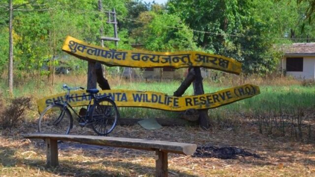 Monsoon Havoc Halts Jungle Safari at Shuklaphanta National Park