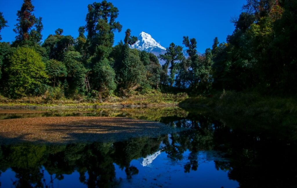 Wetland Photography Competition Results Published