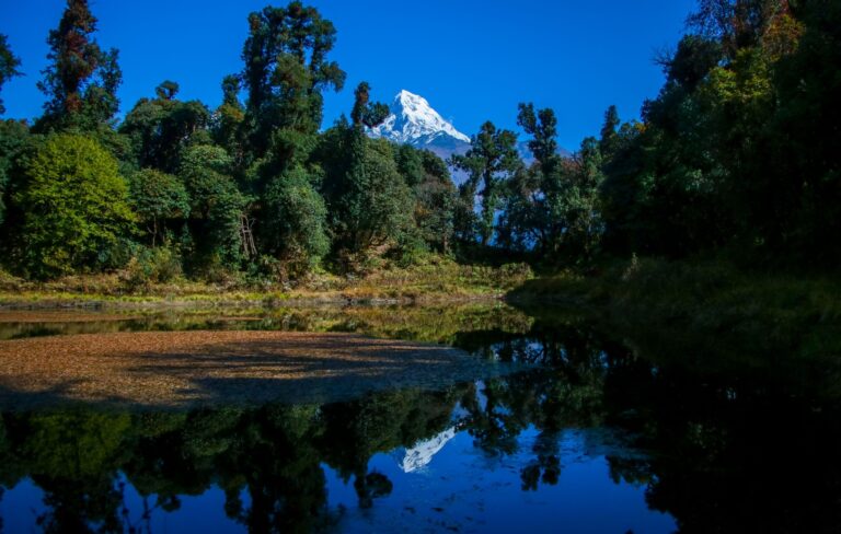 Wetland Photography Competition Results Published