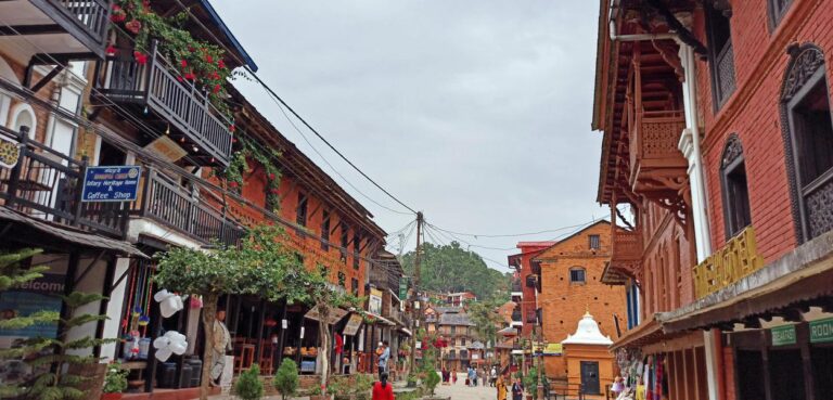 Surge In Domestic Tourism As Bandipur Welcomes New Year With Cultural Festivities