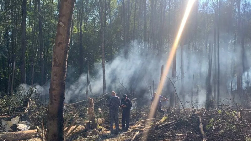 Tragic Loss: Two Pilots Killed in Moscow Plane Crash