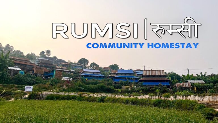 Rumsi Homestay Gains Popularity Among Domestic Tourists