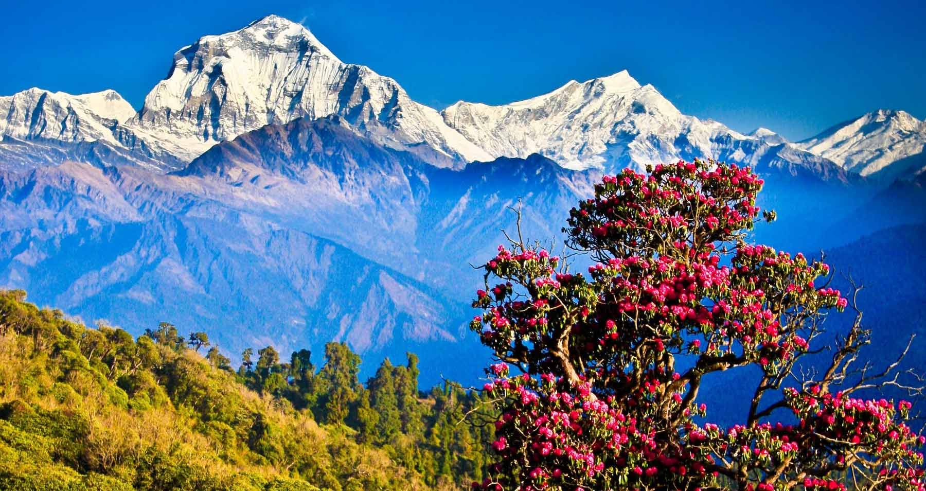 Successful Commitment for ‘Nagarkot Visit Year-2082’ to Boost Tourism and Economic Growth