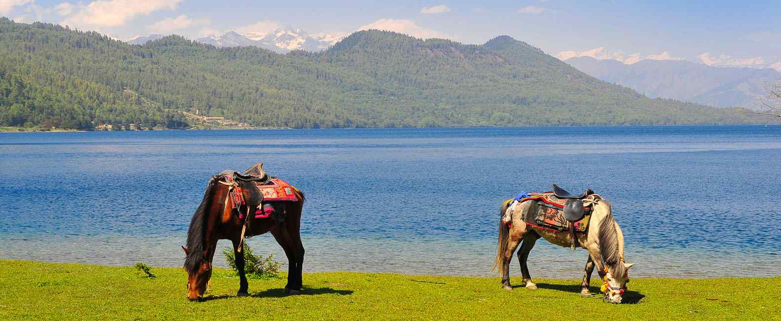 Tourism Entrepreneurs Rally for Bold Investment and Infrastructure Boost in Rara