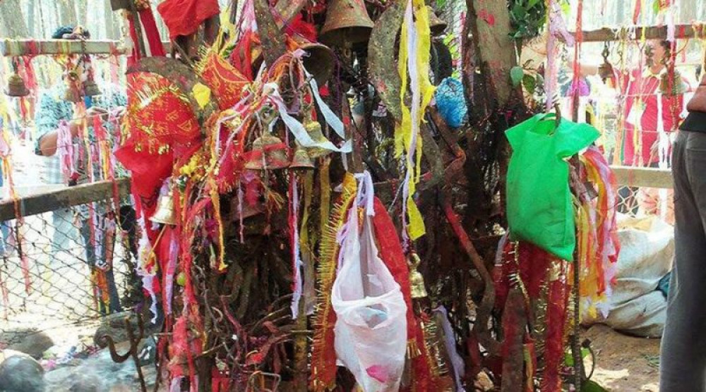 Bikram Baba Worship Flourishes, Inspiring Deep Faith in Chitwan