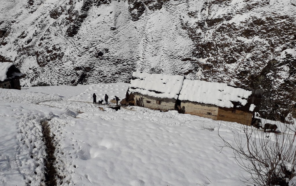 Pathibhara Area Transformed by Stunning Snowfall