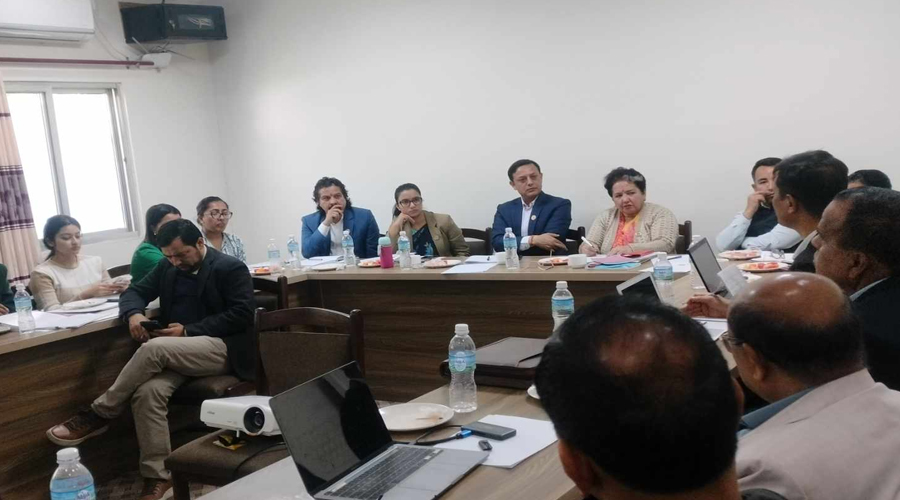 Rastriya Swatantra Party Demands Critical Expert Analysis on Aviation Bill