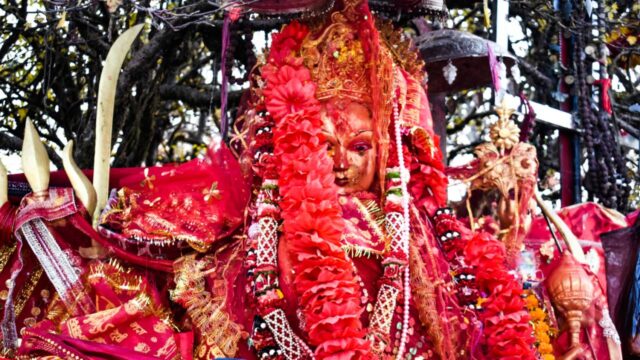 Pilgrimage Surge Elevates Pathibhara Temple’s Spirit