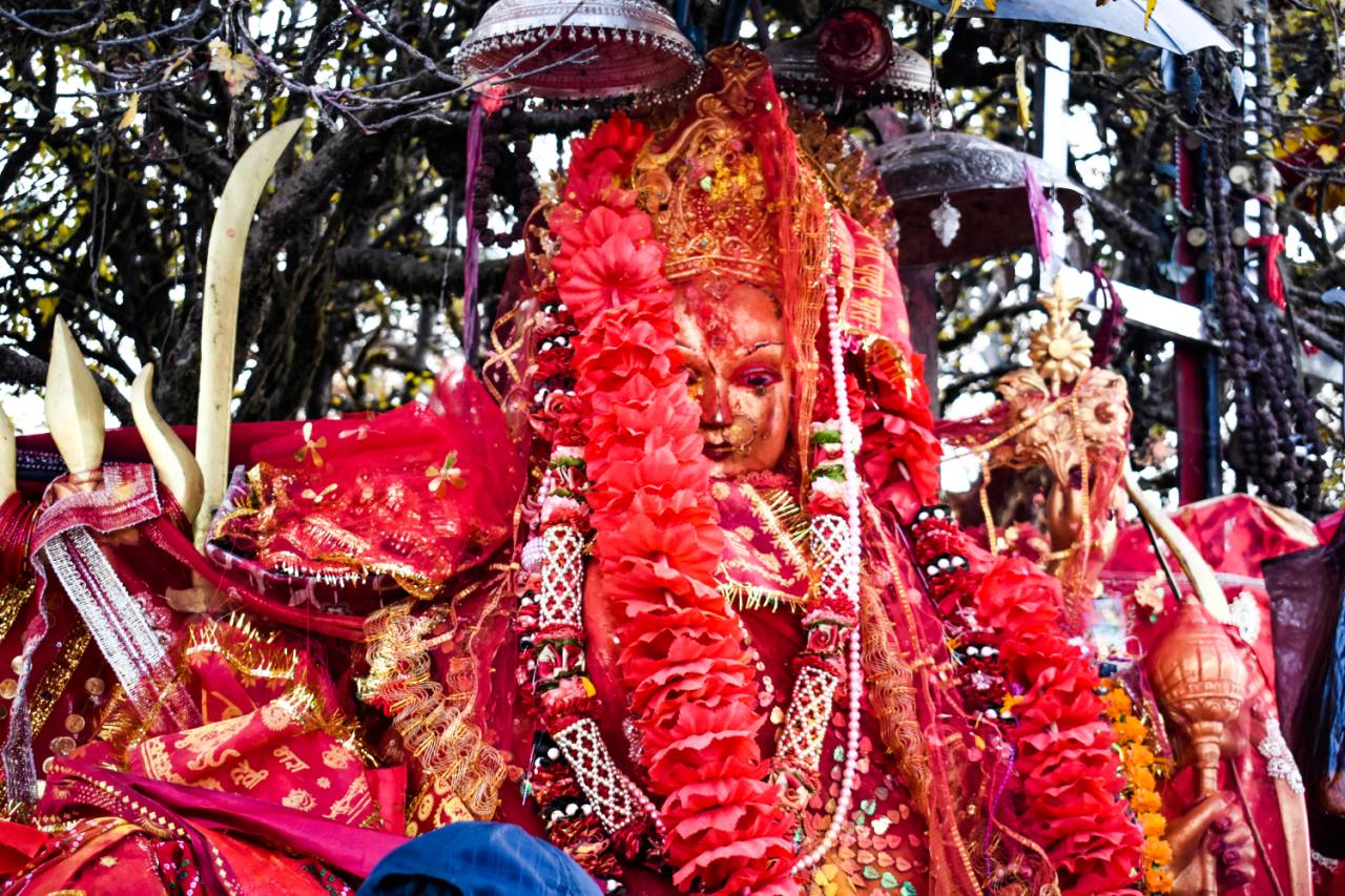 Pilgrimage Surge Elevates Pathibhara Temple’s Spirit