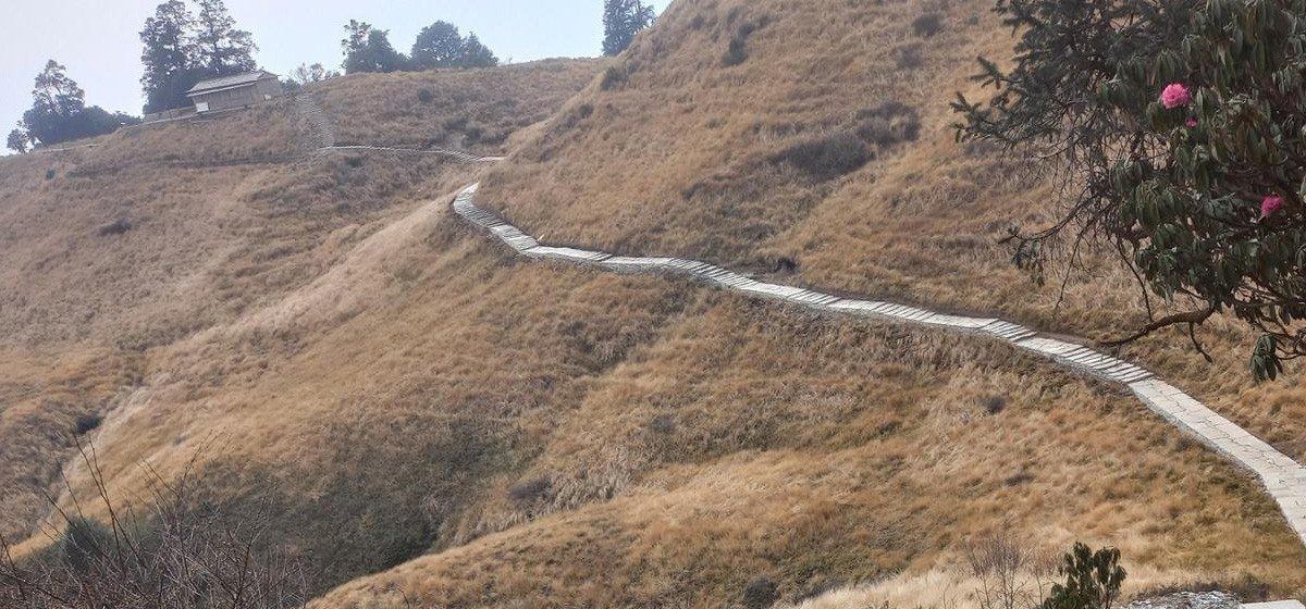 New Trekking Route From Mate Lekh To Jaljala Completed, Boosting Tourism In Parbat District