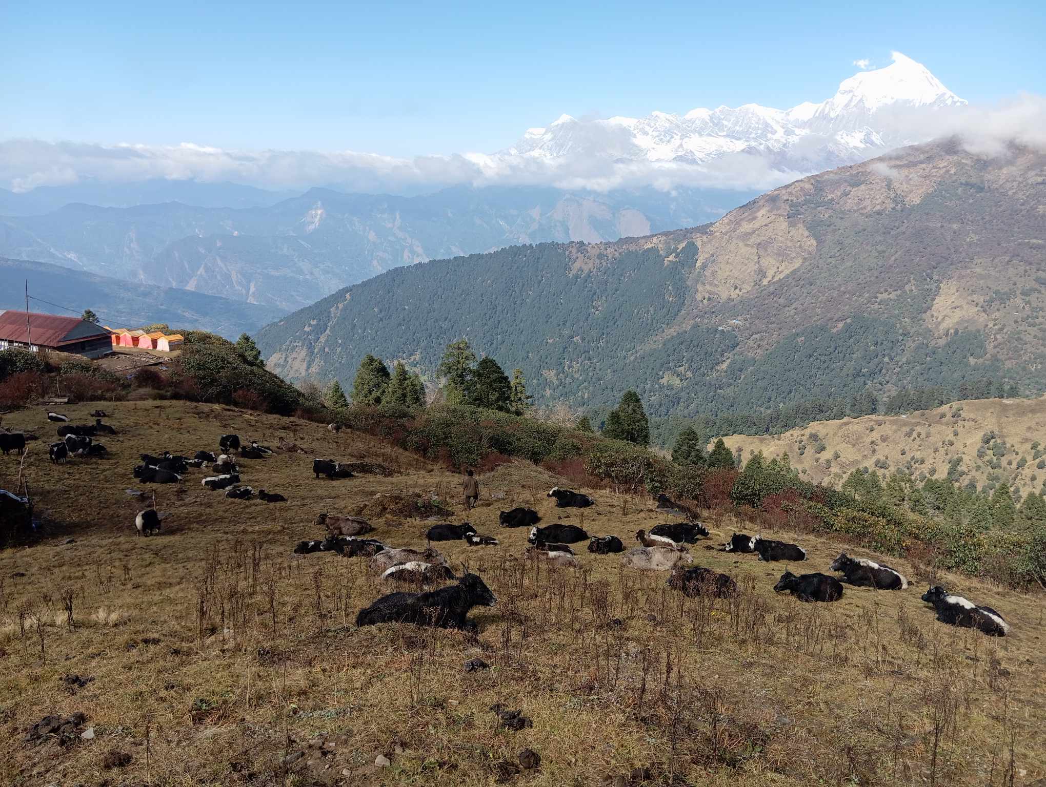Bayali In Annapurna Rural Municipality Awaits Development And Promotion