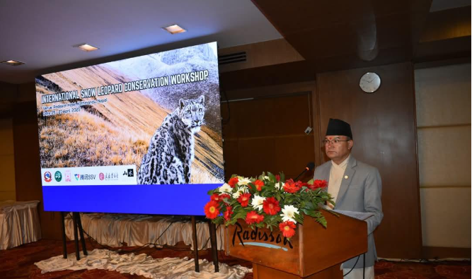 Nepal Urges Bold Cross-Border Action for Snow Leopard Conservation