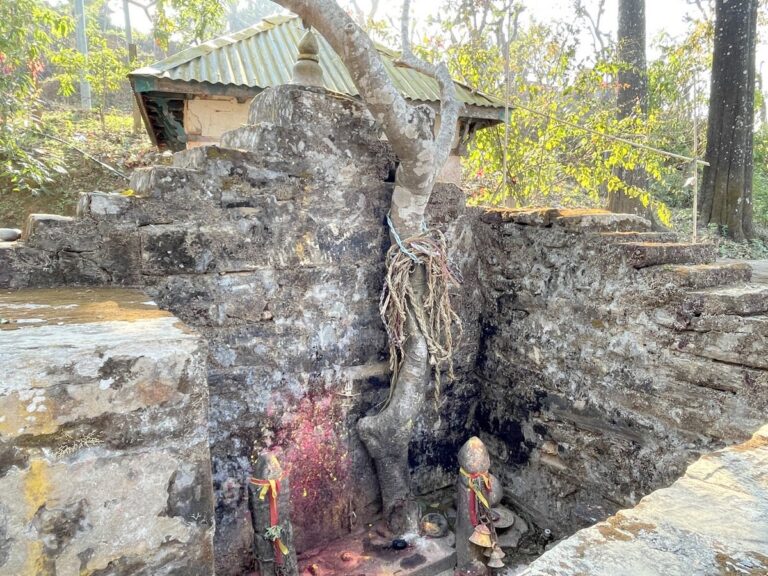 Temple Offerings Redefined: Gorkha’s Devotees Present Cow Ropes in Faith