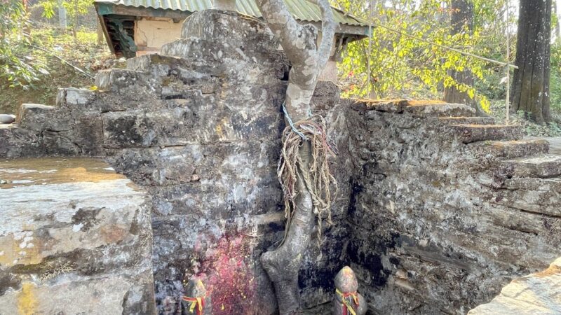 Temple Offerings Redefined: Gorkha’s Devotees Present Cow Ropes in Faith