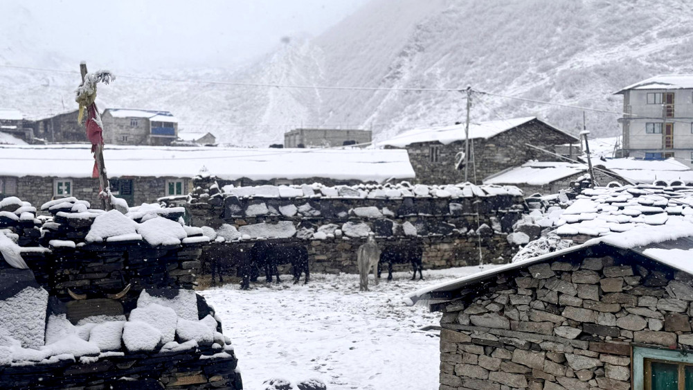 Severe Snowstorm Paralyzes Life in Samdo, Chumnubri Rural Municipality, Gorkha